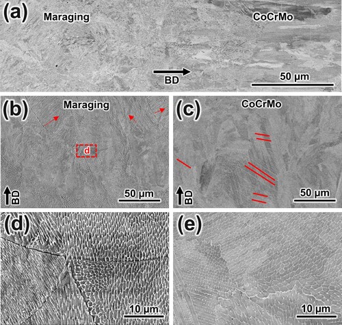 Figure 2. Microstructural features of the as-built MMAM component: (a) transition zone, (b, d) maraging steel cellular structure and (c, e) CoCrMo cellular structure.