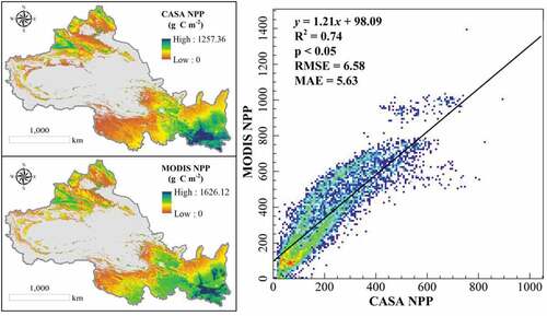 Figure 12. Spatial pixel results in validation of CASA NPP and MODIS NPP.