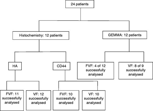 Figure 1. Flowchart for histochemistry and GEMMA (gas-phase electrophoretic molecular mobility analyzer analysis), FVF: false vocal folds, VF: vocal folds.