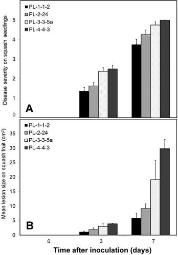 Fig. 2. Severity of disease caused by four Pythium litorale isolates on (A) squash seedlings and (B) on fruit. Disease severity on squash seedlings was quantified using a 0–5 scale (see methods). Values are means of two repeated experiments. Error bars represent standard errors of the means.