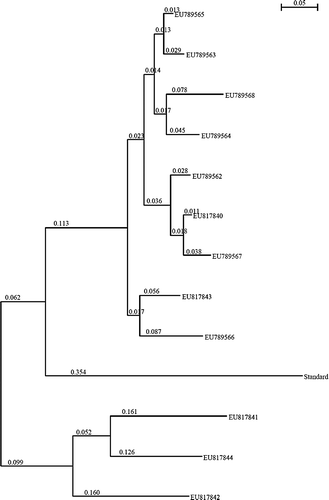 Figure 3.  Phylogenetic mapping of the Butyrivibrio amplicons from this study. GenBank accession numbers EU789562, EU789563, EU789564, EU789565, EU789566, EU789567, EU789568, and EU817844 represent amplicons obtained from feces of rural children. EU8171840, EU817481, EU817842, and EU817843 represent amplicons from cow dung.