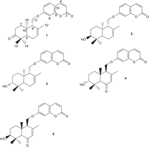 Figure 1.  Chemical structures of sesquiterpene coumarins isolated from Ferula badrakema fruits.