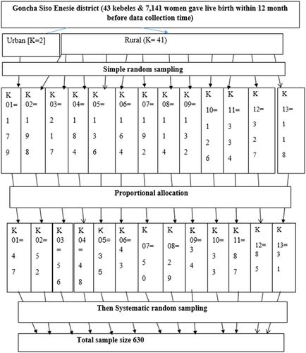 Figure 2 Schematic representation of the sampling procedure among extended postpartum women in Goncha Siso Enesie district, East Gojjam Zone, Ethiopia, 2020 (“K” stands for kebele).