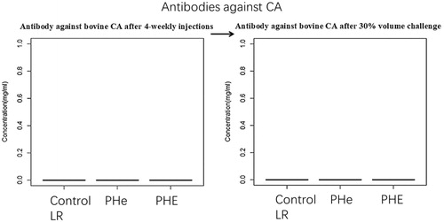 Figure 14. Antibody against bovine CA after four-weekly injections followed by 30% blood volume exchange transfusion. No antibody is detected.