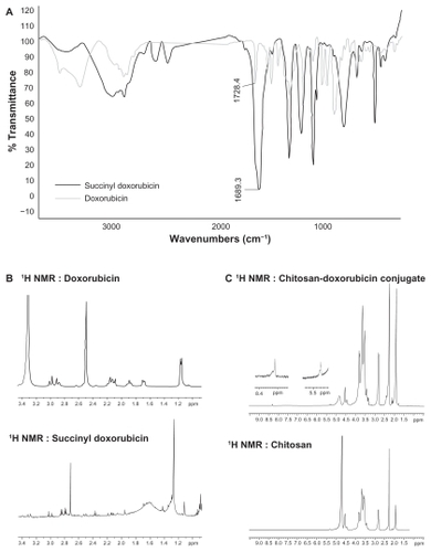 Figure 2 (A) Fourier transform infrared spectrum of doxorubicin and succinyl doxorubicin. (B) 1H nuclear magnetic resonance spectrum of doxorubicin and succinyl doxorubicin. (C) 1H nuclear magnetic resonance spectrum of chitosan and chitosan-doxorubicin conjugate.