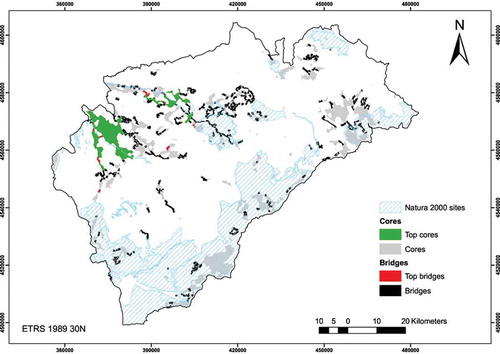 Figure 5. Combining pattern and connectivity analysis for efficient forest conservation management in the province of Segovia, Spain: Detection and ranking of most important forest core areas (green) and connecting pathways (red).