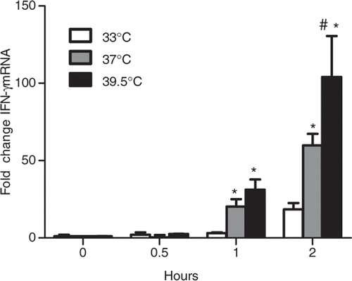 Figure 6. Effector CD8+ T cell IFN-γ transcription is regulated by temperature. Effector CD8+ T cells were incubated at 33°, 37°, 39.5°C for 6 h and stimulated with 0.1 µg/mL gp10025–33 peptide pulsed C57BL/6 splenocytes for 0–2 h at 37°C. RNA was isolated and cDNA was synthesised. mRNA levels were assessed by real-time PCR. All message levels are relative to GAPDH controls and experimental gene expression is relative to cells activated with null peptide. Results are reported as the mean ± SD. These results are representative of two independent experiments (p < 0.05, #vs 37°C and *vs 33°C).