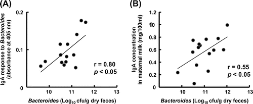 Fig. 2. Correlation between Bacteroides spp. count in maternal feces and (A) the level of anti-Bacteroides IgA or (B) total IgA concentration in milk.Notes: The Bacteroides spp. count in fecal samples collected at 17 days after delivery was measured. (A) Enzyme-linked immunosorbent assay was used to measure the level of anti-Bacteroides IgA in milk collected at 14 days after delivery. Bacteroides spp. that had been isolated from mice feces were used as the coating antigen. The absorbance at 405 nm, indicating the level of anti-Bacteroides IgA, was measured. (B) Enzyme-linked immunosorbent assay was used to measure the total IgA concentration in milk collected at 14 days after delivery.