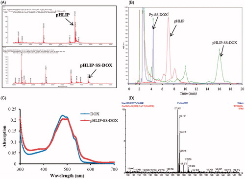 Figure 3. Characteristics of pHLIP-SS-DOX and DOX-SS-DOX. (A) MALDI-TOF spectra of pHLIP, pHLIP-SS-DOX, (B) HPLC spectra of Py-SS-DOX, pHLIP, pHLIP-SS-DOX, (C) UV spectra of DOX, pHLIP-SS-DOX. And (D) ESI/MS spectrum of DOX-SS-DOX.