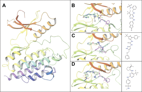 Figure S2 Predicted binding modes’ comparison of Pyk2 crystallographic ligands.