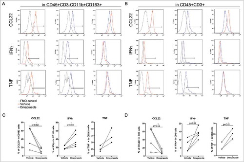 Figure 7. Modulation of the cytokine profile in HCC immune-infiltrating cells by omeprazole treatment. (A-D) Multiparametric flow cytometry of live cells in freshly dissociated HCC tumors treated with the drug vehicle (red line) or with omeprazole (100 μg/ml, blue line) for 24 h. IFNγ, TNF and CCL22 production was evaluated by intracellular staining (A) in CD163+ myeloid cells gated inside live CD45+CD3− cells and (B) in CD3+ T cells gated inside live CD45+ cells. FMO control for each cytokine (gray line) is reported in the histogram plot. The percentages of IFNγ-, TNF- and CCL22-positive cells in the CD163+ and in the CD3+ cells are shown in C and D respectively. The p-values are calculated by the paired t test comparing cells treated with omeprazole or the vehicle.