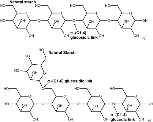 Figure 2. Native starch homopolymer structure made of a) amylose and b) amylopectin.