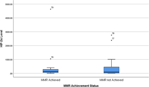 Figure 1 HIF-2α Level based on MMR status.