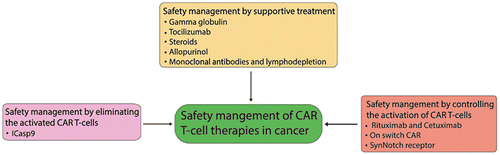 Figure 3. Safety management of CAR T-cell therapy in cancer.
