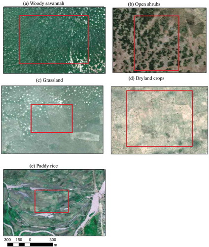 Figure 2. The locations of the main study sites as extracted from the high-resolution SPOT (m) data at 5 m spatial resolution (4 May 2005) to visualize the PFTs (woody, open shrubs, grassland and dryland crops areas)