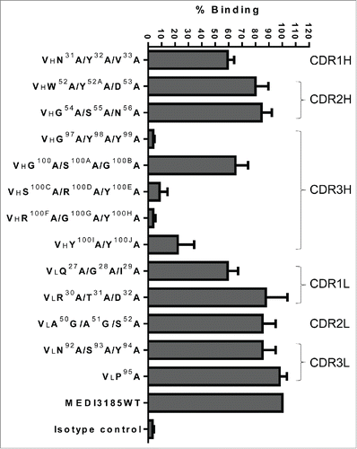 Figure 2. Binding characterization of MEDI3185 variants to CXCR4. Thirteen variants, single or combinatorial, were generated by replacing select CDR residues with Ala or Gly (for A50 and A51 in CDR2L). Binding of MEDI3185 variants was calculated as % binding when compared with wild-type (WT) MEDI3185. Results represent the means of 3 independent experiments.