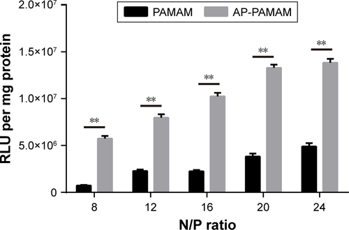 Figure S2 The quantitative assay of in vitro transfection efficiency of PAMAM and AP-PAMAM at different N/P ratios, using the transfection of pGL-3 in HeLa cells as a model.Note: **P<0.01.Abbreviations: AP-PAMAM, 2-amino-6-chloropurine-modified PAMAM; PAMAM, polyamidoamine.