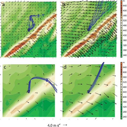 Figure 4. Predicted parcel trajectories at 0800–1112 UTC (blue) and wind vectors at every other grid point at 1112 UTC at the lowest model level in a sub-region in the vicinity of Rock Springs, Pennsylvania in the Nittany Valley on 7 Oct 2007. Nine parcels were released at 3 m AGL in a 0.444 km x 0.444 km area denoted by the inverted triangle at 0800 UTC. Results are for (A) Baseline Experiment Fine vertical and horizontal resolution, (B) Large DZ Experiment, (C) Large DX Experiment, and (D) Large DXDZ Experiment. Terrain (m) is shown as color fill. The distance scale can be seen in the spacing of the wind vectors (0.888 km). From Seaman et al. (Citation2012).