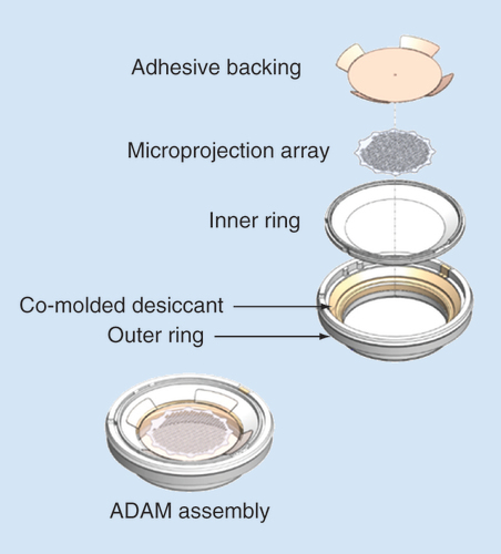 Figure 3. Adhesive Dermally-Applied Microarray patch ring assembly.ADAM: Adhesive Dermally-Applied Microarray.