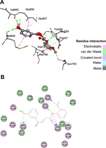 Figure 6 Residual interaction of 4a in binding pocket of HMG CO A reductase.