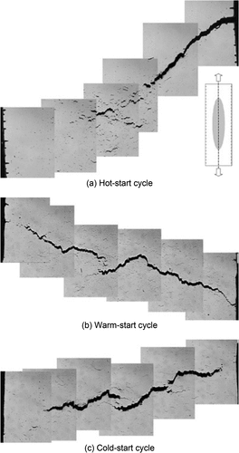 Figure 8. Damage development in 1%CrMoV TMF specimens subjected to (a) a hot-start TMF cycle, (b) a warm-start TMF cycle, and (c) a cold-start TMF cycle (see Figure 6).