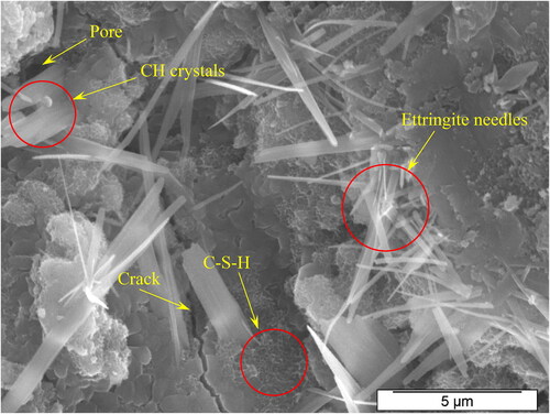 Figure 13. SEM micrograph of M100G0 mortar mixture.