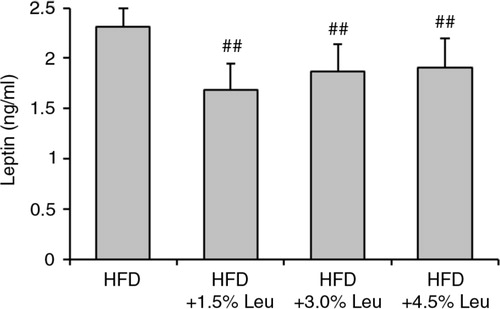 Fig. 2 Serum leptin levels in the four groups at the end of the experiment. Values are means for 12 rats with SD represented by vertical bars. The mean value was significantly different from that of the HFD group at ## P<0.01. HFD, high-food diet; Leu, leucine.