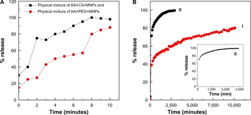 Figure 7 (A) Release profiles of KA from the physical mixture of KA+MNPs+CS or KA+MNPs+PEG at pH 7.4, and (B) release profiles of KA from the KA-CS-MNPs (I) and KA-PEG-MNPs (II) nanocomposites at pH 7.4. Inset in (B) shows the release profiles of KA from KA-PEG-MNPs.Abbreviations: KA, kojic acid; KA+CS+MNPs, physical mixture of kojic acid, chitosan, and iron oxide nanoparticles; KA-CS-MNPs, kojic acid-chitosan-iron oxide nanoparticles; KA+PEG+MNPs, physical mixture of kojic acid, polyethylene glycol, and iron oxide nanoparticles; KA-PEG-MNPs, kojic acid-polyethylene glycol-iron oxide nanoparticles.