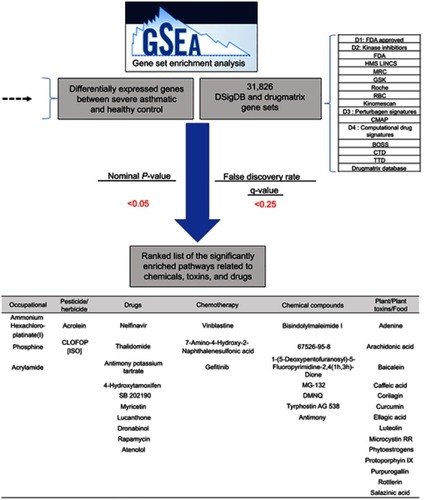 Figure 2 The flowchart of the bioinformatics approach to identify gene sets related to chemical, toxins, and drugs.