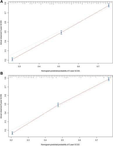 Figure 5 (A) Calibration curve of the nomogram for predicting the 3-year GCSS rates of elderly patients undergoing radical gastrectomy. (B) Calibration curve of the nomogram for predicting the 5-year GCSS rates of elderly patients undergoing radical gastrectomy.