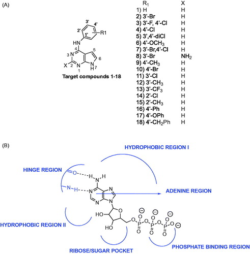 Figure 1. Target compounds 1–18 tested for dual activity against AURKA and EGFR.