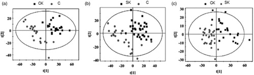 Figure 2. (a) Plot of scores of OPLS-DA models from the clinical ketosis (CK) and control (C) groups. (b) Score plot of OPLS-DA models from the subclinical ketosis (SK) and C groups. (c) Score plot of OPLS-DA models from the CK and SK groups.