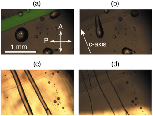 Figure 2. (Colour online) Droplets of LC material (DIO) on the LN:Fe crystal during cooling from 110°C to 80°C: (a) before cooling, (b) during cooling the droplets start to elongate, (c) then they abruptly transform into running streams, (d) the streams become thinner when the temperature starts to stabilise. In the top left corner (highlighted in green in Figure 1(a) the region pre-illuminated by the 532-nm laser light can be seen. Image (c) is very bright in comparison to the others because a layer of LC material traveled into the gap between the bottom surface of the LN:Fe crystal and the underlying glass slide.