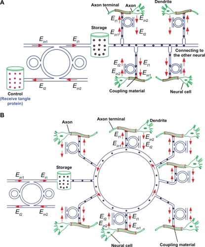 Figure 4 Schematic diagram of molecular network (A) bus network (B) ring network.