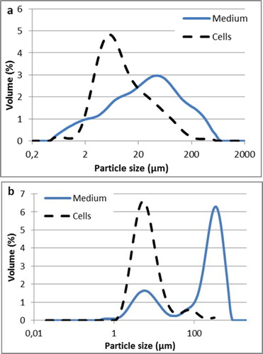 Figure 6. Castor oil droplets and cells size distribution in emulsions obtained in Yarrowia lipolytica W29 (a) and MTLY40-2p (b) grown in bioreactor.