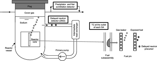 Figure 1. Schematic drawing of failed fuel detectors in Monju.