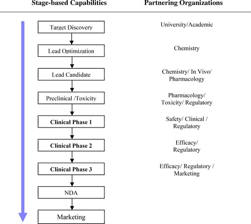 Figure 3. Evolving capabilities and main partner organizations of a typical dedicated biotech firm in the drug development process.Source: Authors’ elaboration.