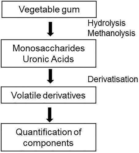 Figure 2. Steps of the vegetable gum analytical procedure by GC-MS.