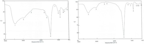 Figure 5 FTIR spectra after synthesis of nanoparticles of (A) petroleum ether fraction of Amphimedon sp. and (B) total extract of Amphimedon.