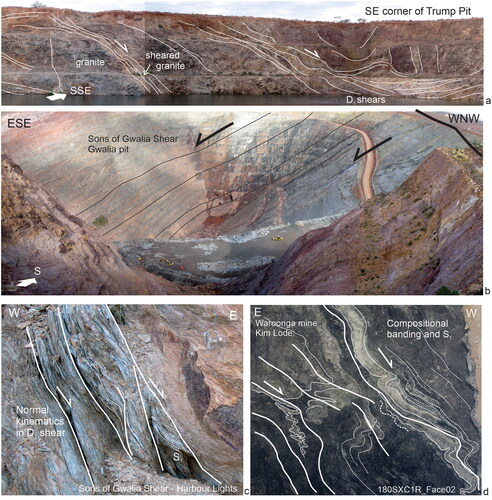 Figure 8. D1 extensional shears (localities shown in Figure 6): (a) extensional shears in the carapace of Raeside Batholith, Trump pit, Leonora; (b) Sons of Gwalia (SOG) Shear, Gwalia pit, Leonora; (c) extensional kinematics in SOG shear, Harbour Lights pit, Leonora; and (d) extensional shearing on Emu Shear, Waroonga mine, Agnew.