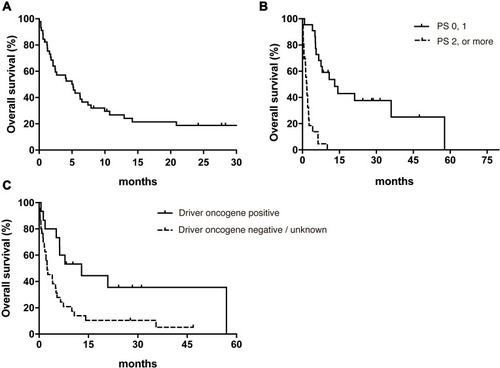 Figure 1 Kaplan–Meier analysis of overall survival in all patients (A), in the good and poor PS groups (B) and in the driver oncogene positive and negative or unknown groups (C).
