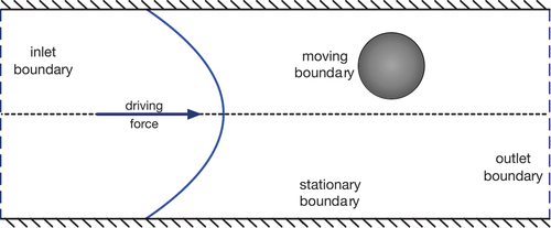 Figure 6. Different types of boundaries that need to be considered in IPMF modelling, here illustrated for a straight channel: 1) the boundary condition at the stationary surface of the device; 2) the boundary condition at the surface of the moving and possibly deforming particles; 3) inlet and outlet conditions which may coincide with each other if periodic conditions are used. The flow (illustrated by the curved blue line) is usually driven by a pressure drop or driving force.