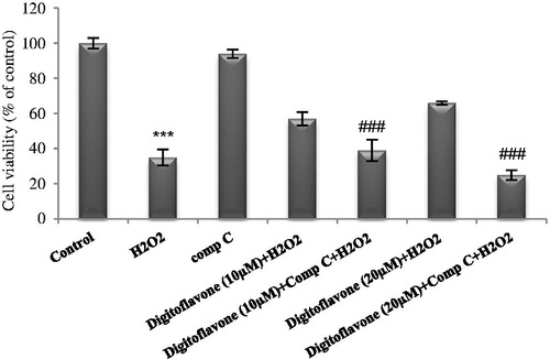 Figure 5. Effect of AMPK inhibition on viability of digitoflavone pretreated, H2O2-insulted cells. PC12 cells were pretreated with 10 and 20 µM concentrations of digitoflavone and compound C, then exposed to H2O2 (200 μM) for 18 h. MTT assay was used to determine cell viability. The mean of three independent experiments is shown. ***p < 0.001 Significantly different from control cells. ###p < 0.001 Significantly different from digioflavone (10 µM and/or 20 µM) pretreated, H2O2-insulted cells.