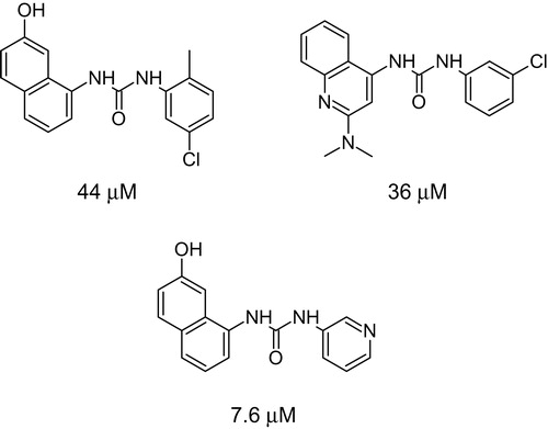 Scheme 2. Urea compounds active in CDK assay with their IC50 valuesCitation21.
