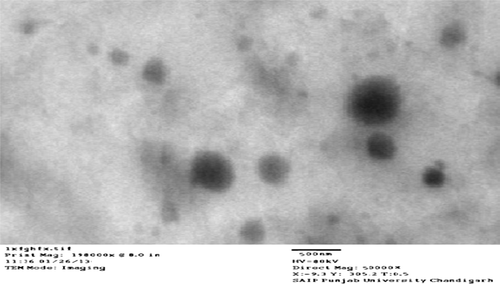 Figure 1. Transmission electron microscopic (TEM) image of optimized clotrimazole-loaded oleic acid vesicles at 80 kV and 50,000 ×.