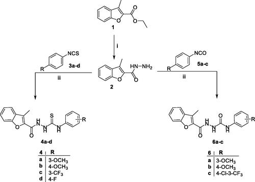 Scheme 1. Synthesis of target 2-methylbenzofurans 4a–d and 6a–c; reagents and conditions: (i) NH2NH2.H2O/isopropyl alcohol/reflux 2 h and (ii) dry toluene/reflux 7 h.