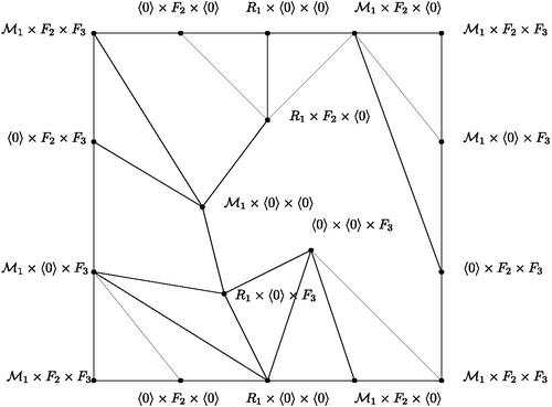 Fig. 20 Embedding of PIS(R1×F2×F3) in N2, where η(M1)=2