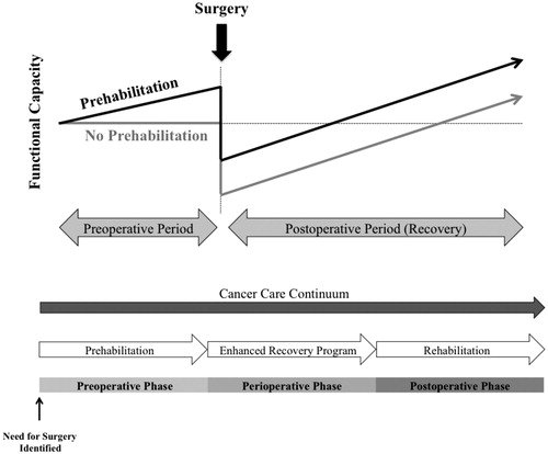 Figure 2. Prehabilitation in a continuum of cancer care.
