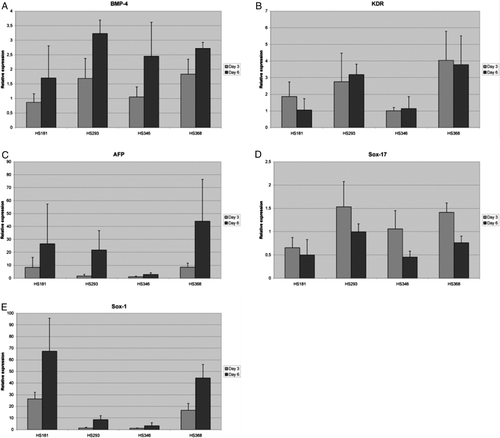 Supplementary Figure 2. Relative gene expression of bone morphogenic protein-4 (BMP-4) (A), kinase insert domain receptor (KDR)(B), alphafetoprotein (AFP) (C), and SRY sex-determining region Y-box 1 (SOX1) (D) and SRY sex-determining region Y-box 17 (SOX17) (E) in HS181, HS293, HS346, and HS368 at day 3 and 6. QPCR protocol was 10 minutes at + 95°C followed by 40 cycles of 15 seconds at + 95°C and 60 seconds at + 60°C. At the end of the program a dissociation curve protocol was performed to demonstrate that the results are not due to the primer-dimers or non-specific PCR products. From both time points we had two biological replicates which were run as triplicates. For every PCR plate, negative control reactions without cDNA were run to monitor the reliability of the test.