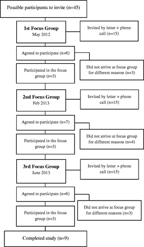 Figure 1. Flowchart of participants in the focus group study.